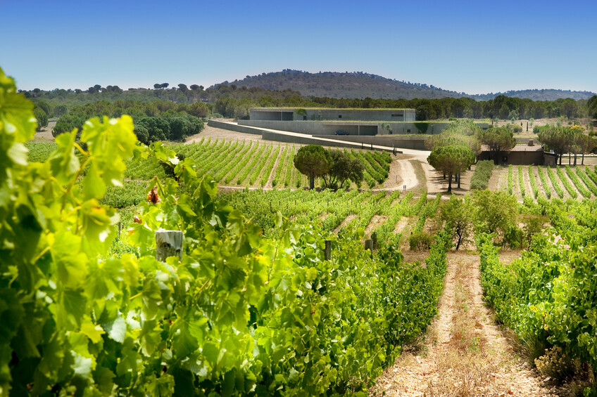 Œnotourisme en Catalogne